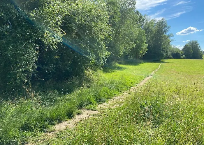 Am Kaitzer Weinberg 德累斯顿