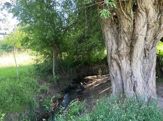 Lejlighed Am Kaitzer Weinberg *